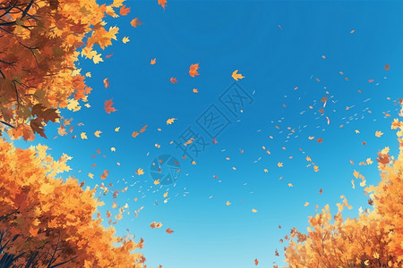 秋天天空的自然景观背景图片