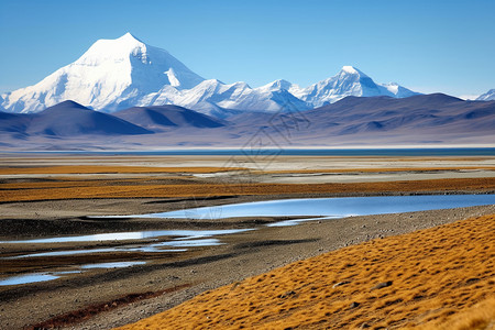 西藏的雪山山脉背景