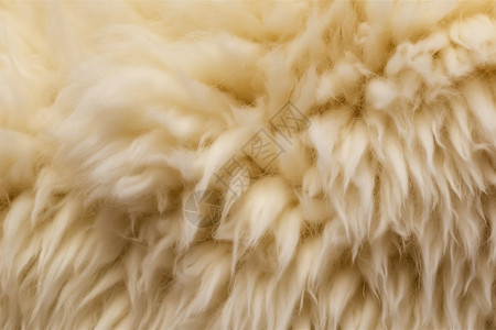 米色的羊毛材质图片
