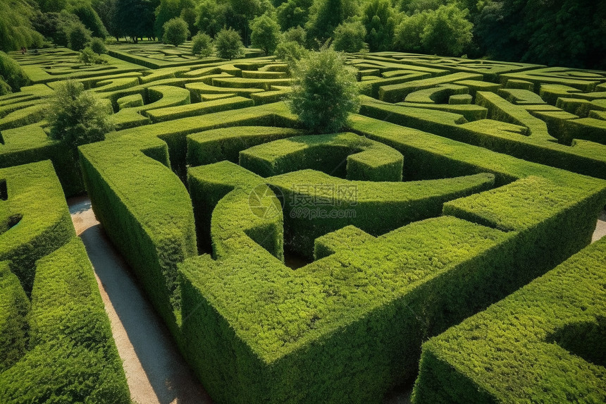 植物修建的迷宫图片