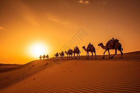 两个驼峰骆驼沙漠中的骆驼群背景