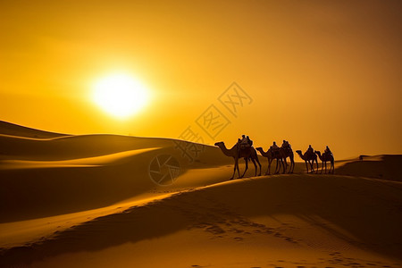 落日沙漠驼队图片