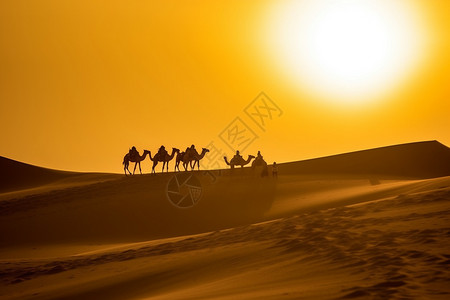 落日沙漠里的驼队图片