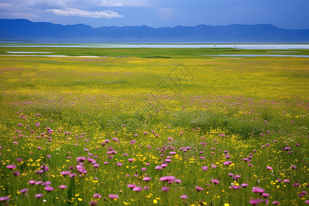 新疆伊犁自然风光图片