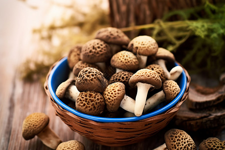 碗里的食材蘑菇图片