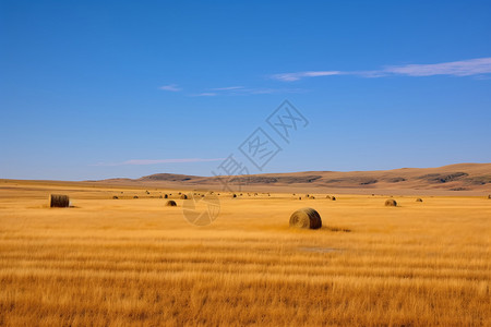 草原的美丽风景高清图片