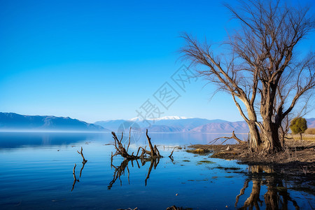 蓝色的湖面风景背景图片