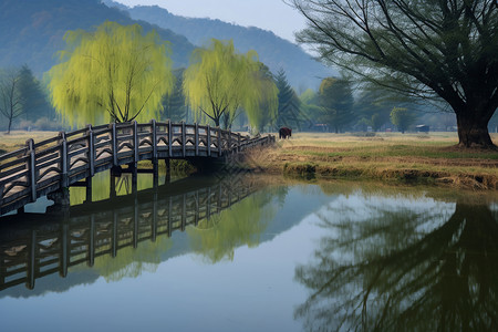 乡村的风景和小桥的倒影图片