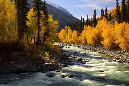 户外的小溪和唯美的秋天景色图片