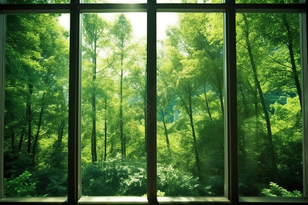 窗外的自然绿洲背景图片