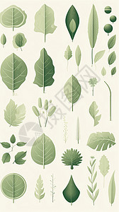 各种树叶叶子的图标背景图片