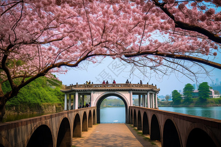 拱门建筑前的美丽樱花图片