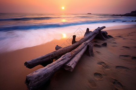 清晨日出的海滩图片
