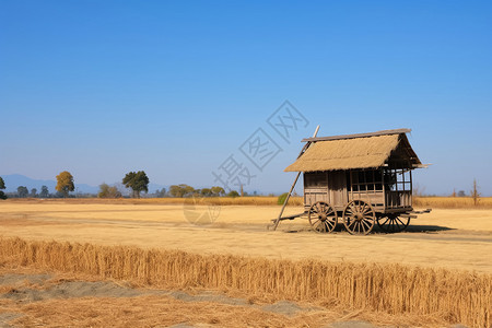 禄米仓农田中古老的米仓背景