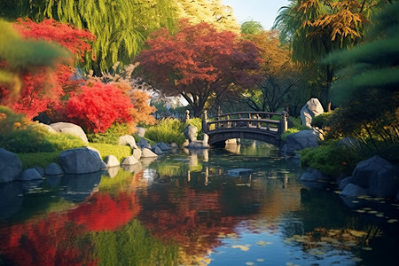 公园小溪石桥旁的景色设计图片
