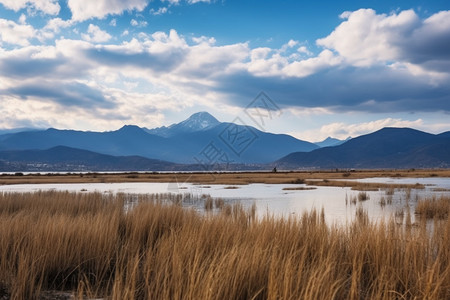 静静的湖面背景图片