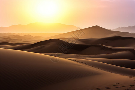 阳光下的沙漠图片