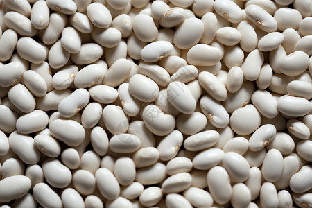 白芸豆食材健康白芸豆高清图片