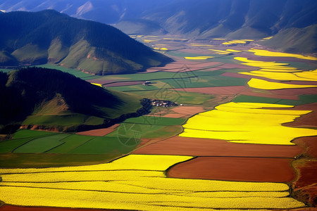 黄色的田野和山谷图片