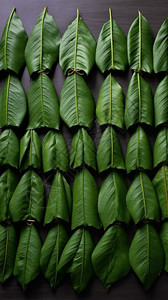 端午节包粽子的叶子背景图片