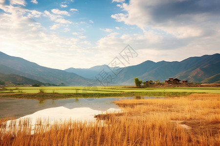 风景优美的湿地高清图片