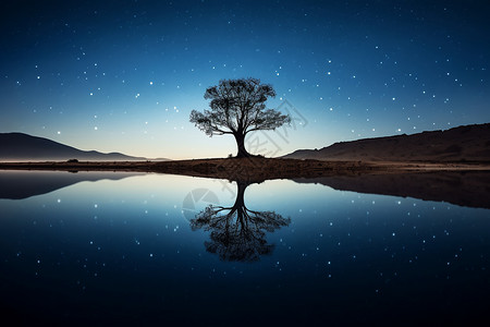 星光下湖水和树木倒影背景图片