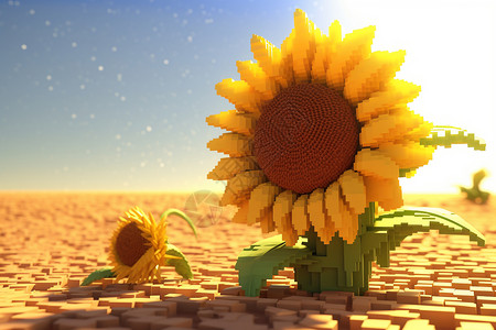 像素风沙漠中的向日葵高清图片