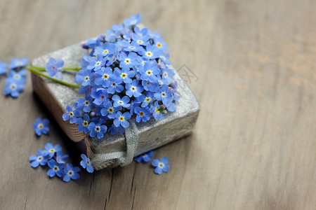 乡村庆祝活动中的蓝色花朵图片