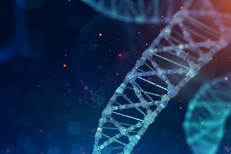 燕麦纤维3d健康医学基因工程技术设计图片