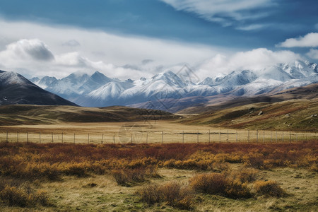 尤因塔山脉塔公草原山脉户外植物背景