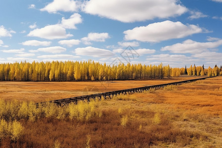 秋天内蒙古的自然景观图片