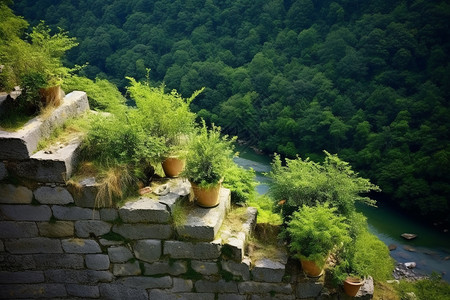 夏天乡村的自然景观图片