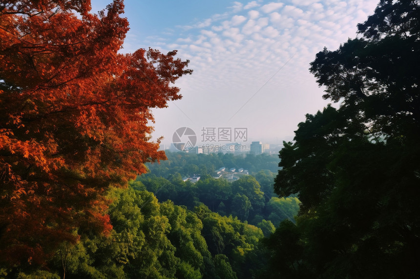 天平山夏季的自然景观图片