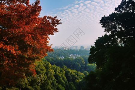 天平山夏季的自然景观背景图片