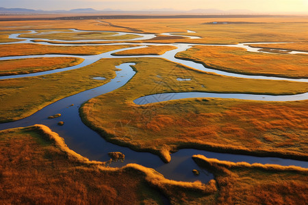 秋季北河口沼泽草原的风景图片