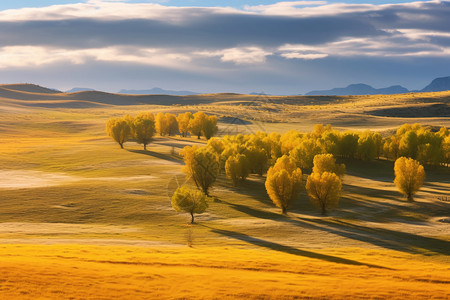乌兰布通草原的秋景图片