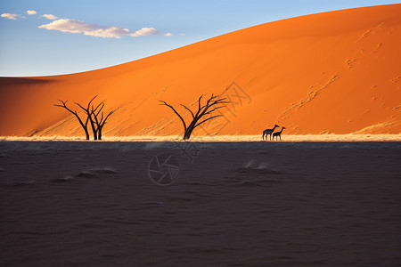 橙色沙漠的自然景观背景图片
