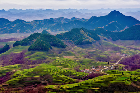 春季梯田景色背景图片