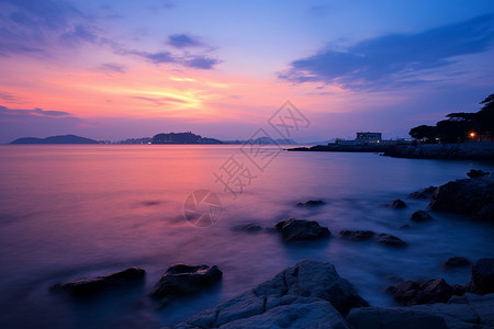 布满海草的石头布满礁石的海滩背景