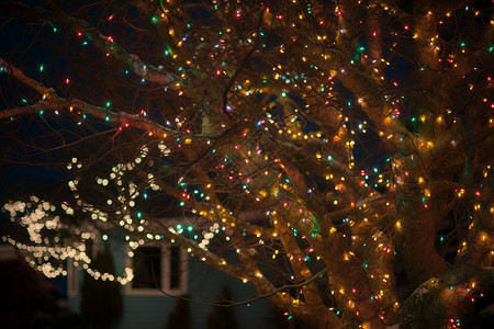 树上的圣诞灯背景图片