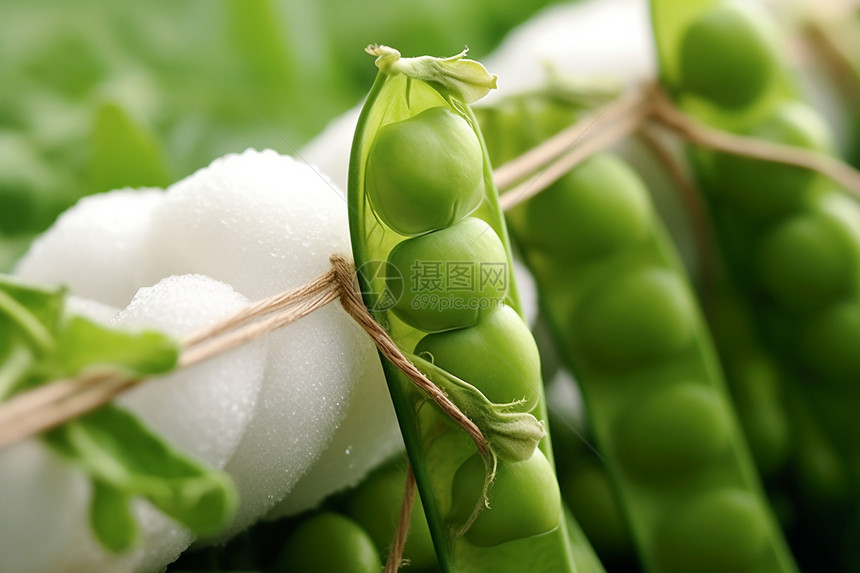 健康营养的豌豆图片