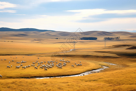 内蒙古草原的风景图片