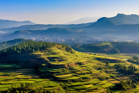 乡村农业梯田风景图片