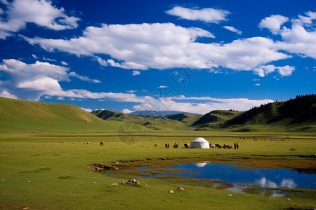 绿油油的草地背景图片