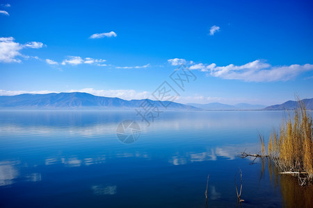 洱海的美丽风景背景图片