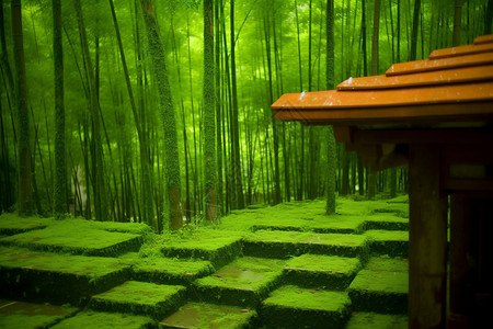 竹林里的小屋图片
