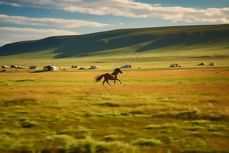 草原上奔腾的马匹图片