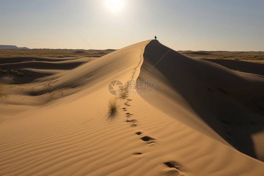 夏季戈壁沙丘自然景观图片