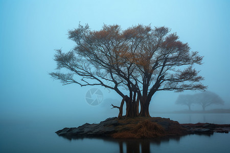 阳澄湖的自然景观背景图片