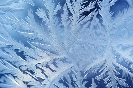 窗户下雪季节性寒冷结晶设计图片
